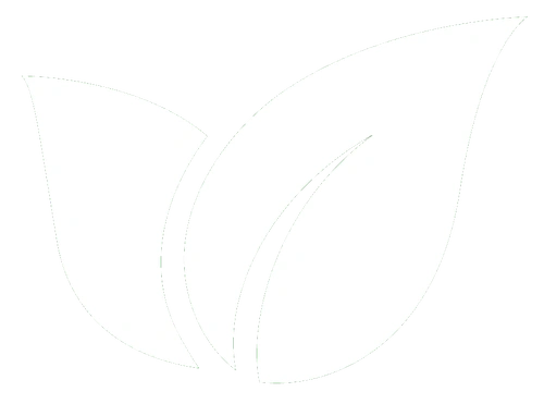 Jorge Pro Landscaping